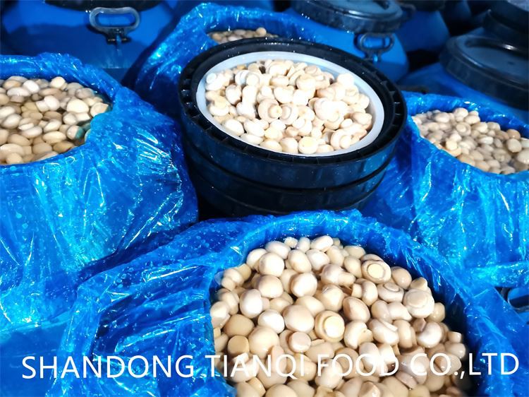 Whole white mushroom preserved in drums