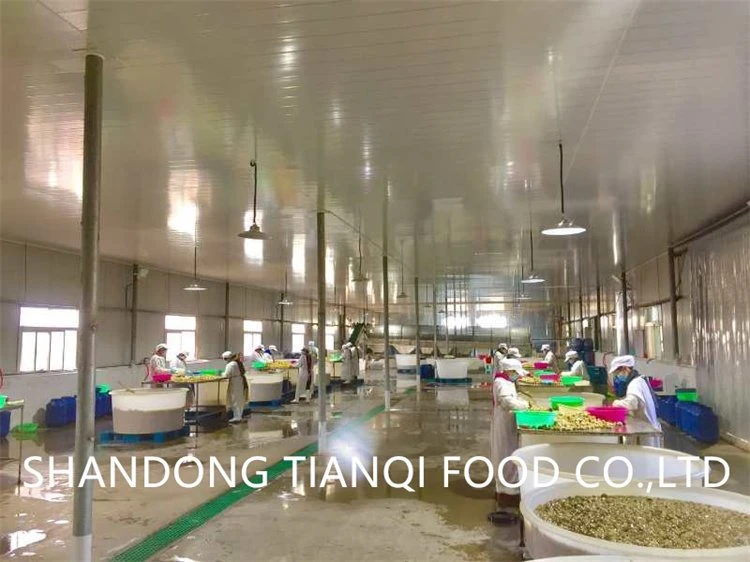 Wholesale white champignon mushroom in vinegar in drums
