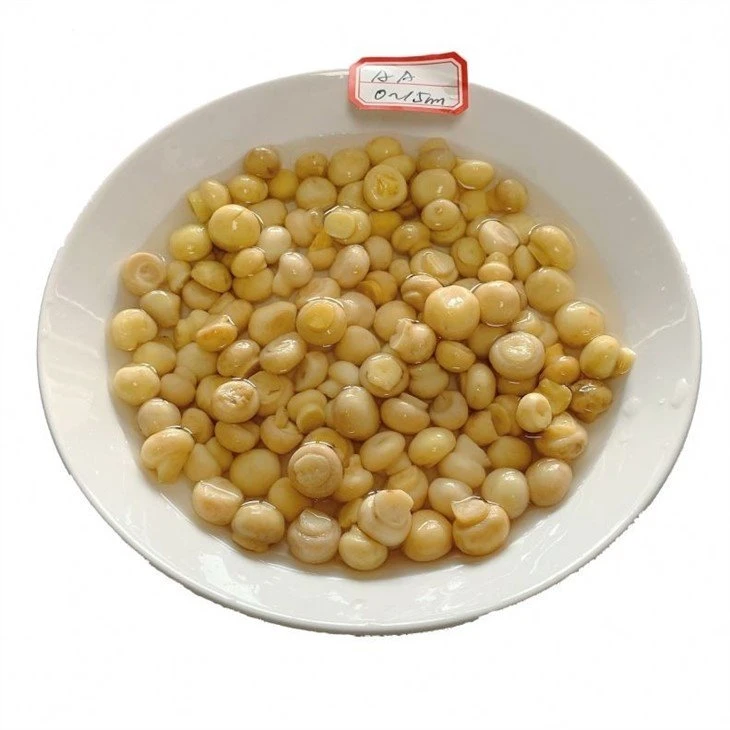 Whole white mushroom 1.5-2.0cm in salted water in drums