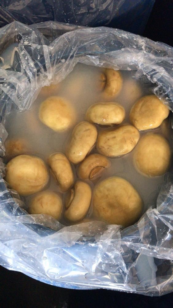 4-6cm preserved white mushroom in brine in drums