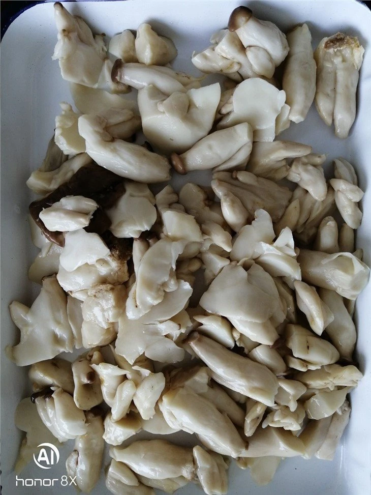 Salty king oyster mushroom in drums