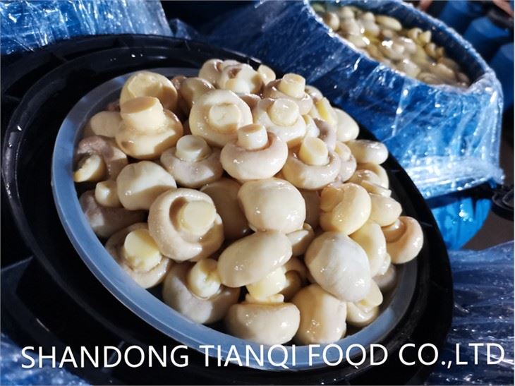 Chanpiyon nan Eau nan tanbou plastik