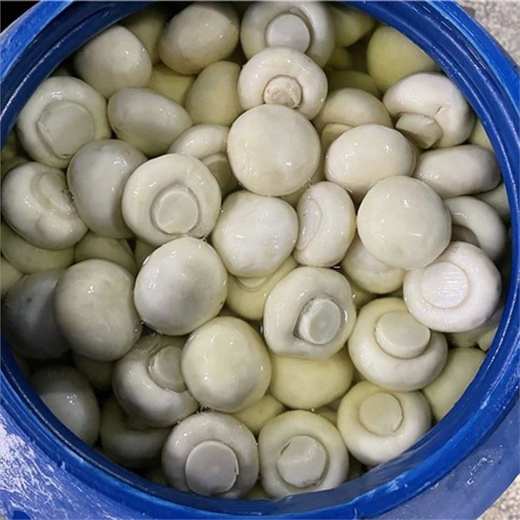 Nouvo Crop Brined djondjon nan tanbou 50kg