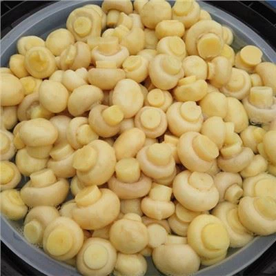 Sale djondjon konsève nan tanbou