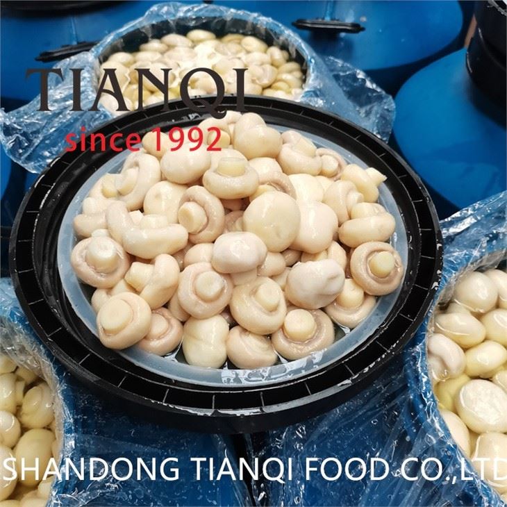 Preserved white champignon mushroom