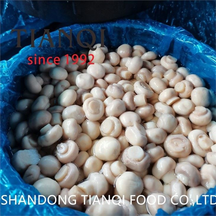 Champignon djondjon nan tanbou