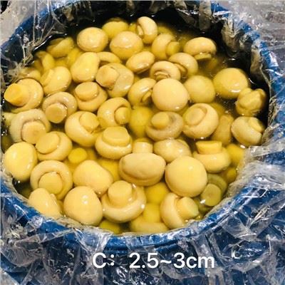Champignon djondjon antye nan Eau nan tanbou plastik