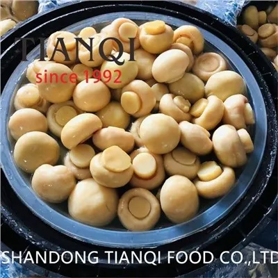 Tranche chanpiyon djondjon nan tanbou