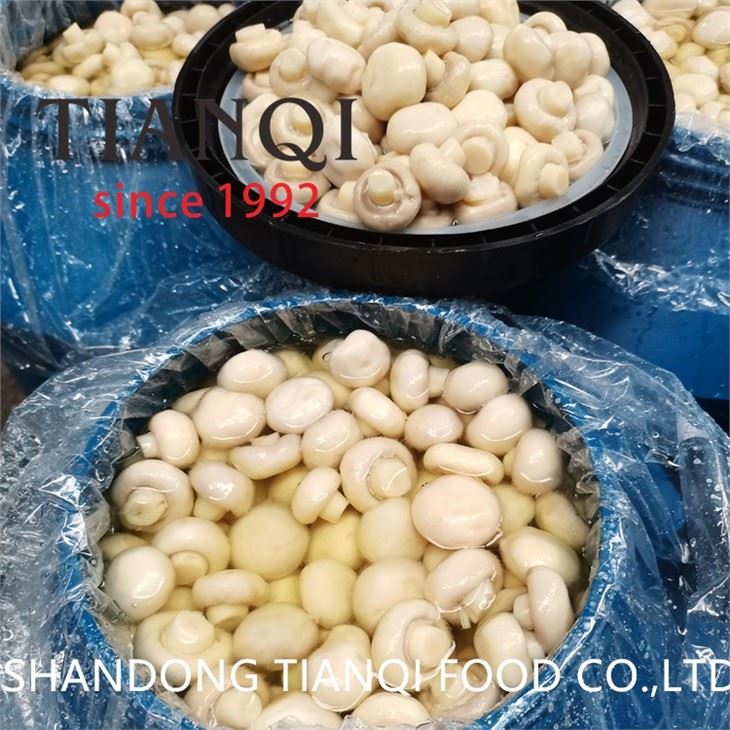 Pickled white sliced mushroom in drums