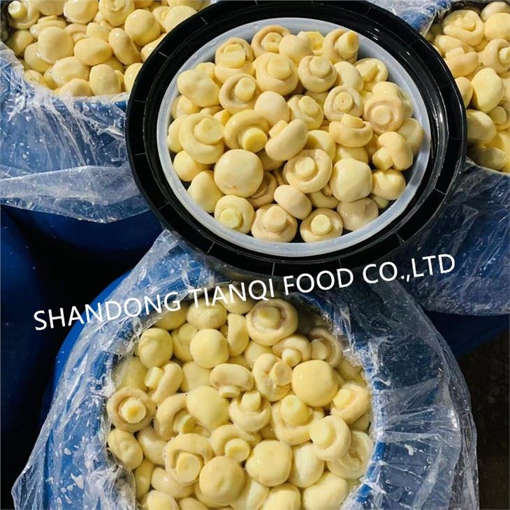 Wholesale djondjon chanpyon blan nan Eau nan tanbou
