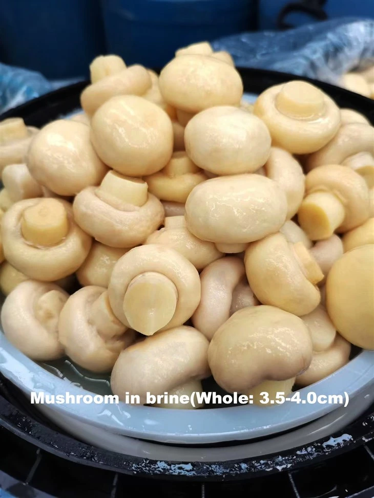 Kalite segondè Brined Djondjon nan tanbou