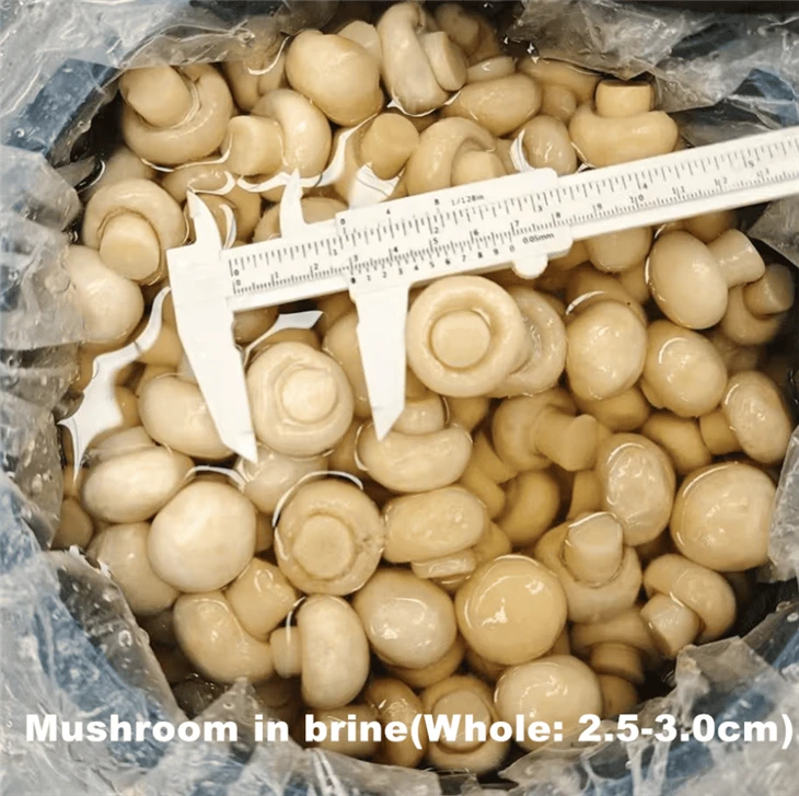 Djondjon Champignon sale nan gwo tanbou